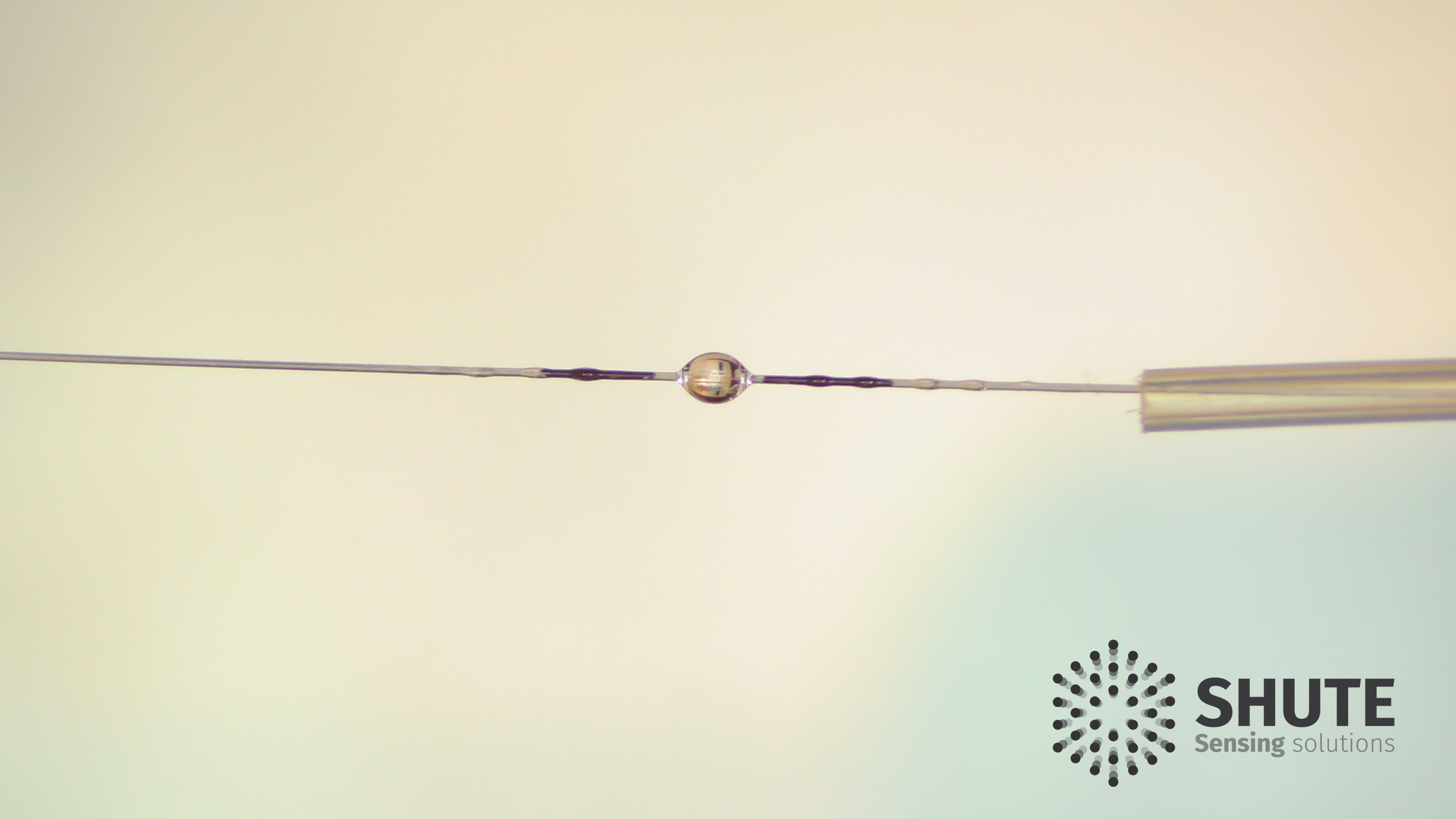 Polymer optical fiber integrated with sensing element